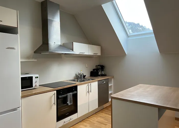 Apartman Vetrlidsallmenningen 4