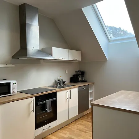 Apartment Vetrlidsallmenningen 4