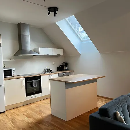 Vetrlidsallmenningen 4 Apartment